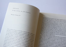 Load image into Gallery viewer, Patologías contemporáneas: Ensayos de arquitectura tras la crisis de 2008